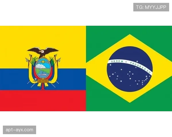 维尼修斯积极参与慈善事业，持续支持社区公益项目